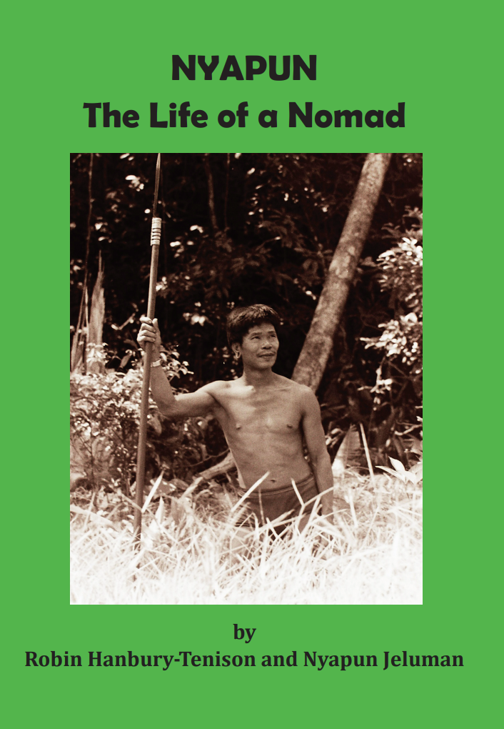 Nyapun Book cover