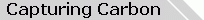 Capturing Carbon